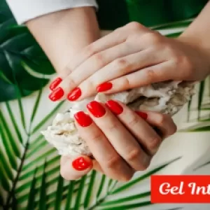 Gel Intentions