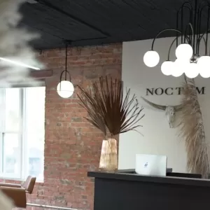 NOCTEM hair co