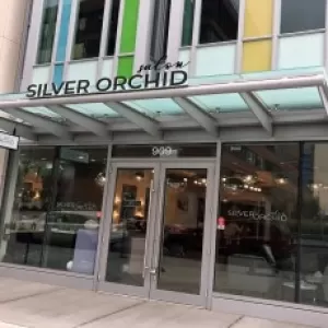 Silver Orchid Salon