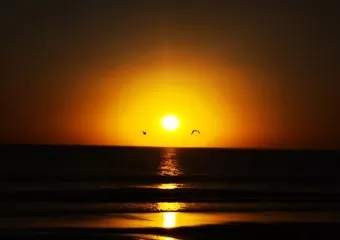 a day at the beach