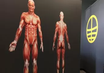 Athlete's Choice Massage - Sherwood Park