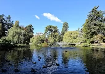 Beacon Hill Park