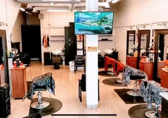Cavalier and Textur Hair Design