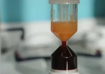 Essence of Beauty: Skin Health & Aesthetics