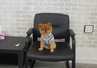 Florens Haircut
