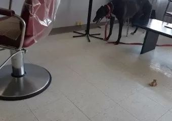 Gllitzy Nails & Hair