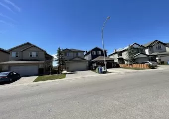 Hair & Beauty Services