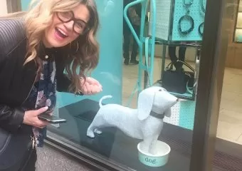 Hair By Cindy Schaber @ Wisp Boutique Salon