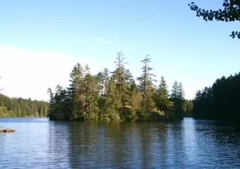 Lakeside Massage Therapy
