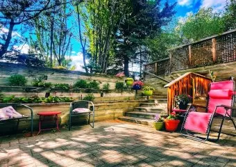 Living Lotus Healing