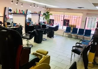 Lotus Hair Salon