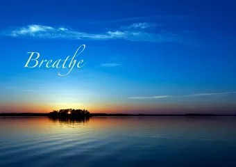 Madrona Massage Therapy