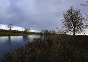 Mallard Point - Fish Creek Provincial Park