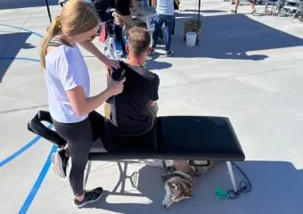 MoveWell Massage Therapy and Acupuncture