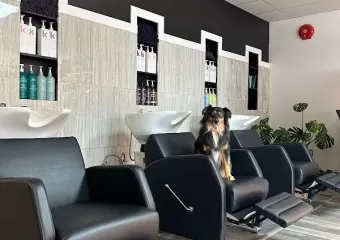 Pink Lemonade Salon