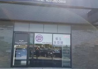 Purple Jade Hair Design