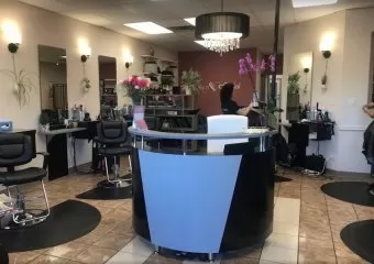 Salon Amici