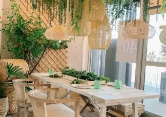 Showhome Furniture - North Hill Centre