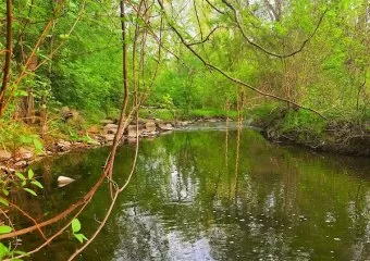 South Fletcher's Creek Park
