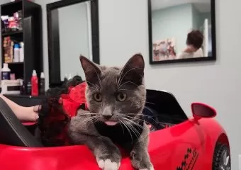 Super Ma'am Home Hair Salon