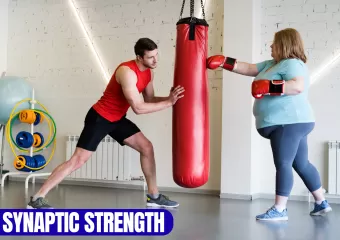 Synaptic Strength