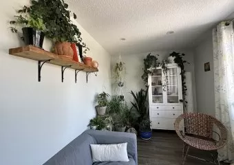 The Natural Health Collective