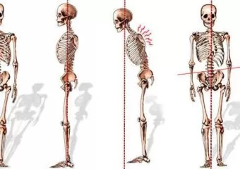 U Knead 1 Manual Osteopathy and Massage Therapy