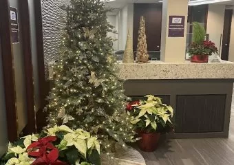 Vitality Spa & Massage