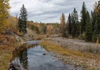 Votier's Flats - Fish Creek Provincial Park