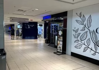 Waxy Boutique (Chinook Mall Professional)