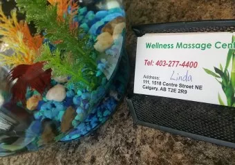 Wellness Massage Centre