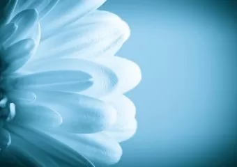 Willow Medical Aesthetics - Campbell River