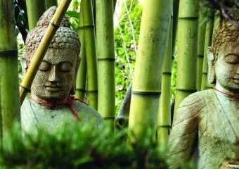 Yoga Santosha Mission