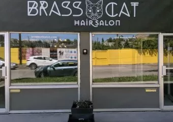 Brass Cat Salon
