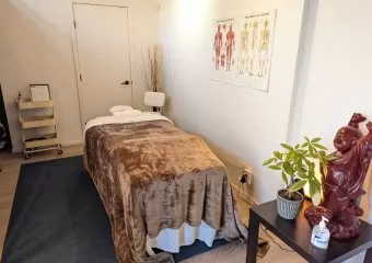 SJ Massage Therapy