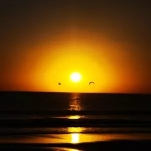 a day at the beach