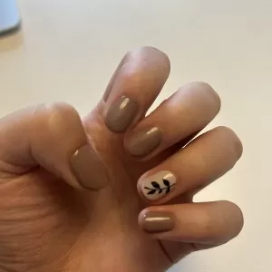 Almond Nail Bar  Linden Ridge