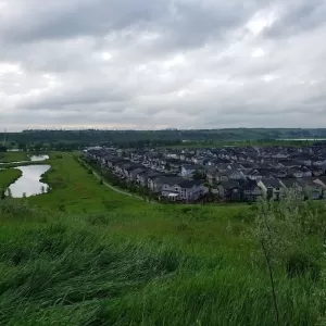 Andrew Sague Massage