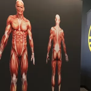Athlete's Choice Massage - Sherwood Park