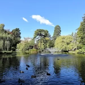 Beacon Hill Park