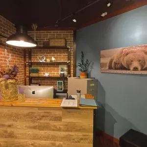 Bliss Valley Massage & Wellness