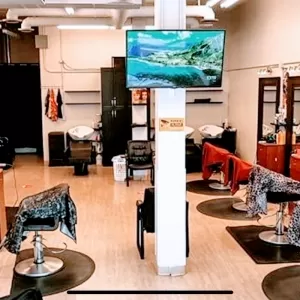 Cavalier and Textur Hair Design