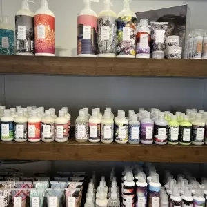 Curious Salons | Aspen Landing