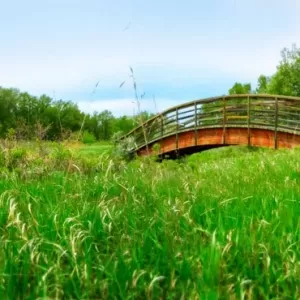 Douglas Square Chiropractic & Massage