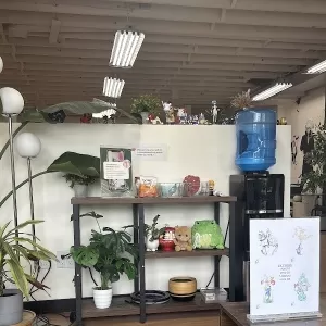 DSV Studios