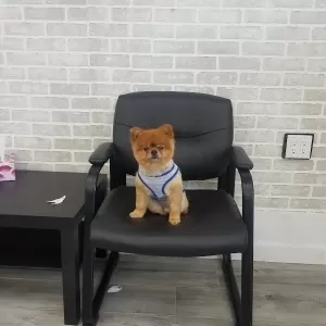 Florens Haircut