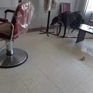 Gllitzy Nails & Hair