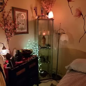 Got Your Back Therapeutic Massage Services