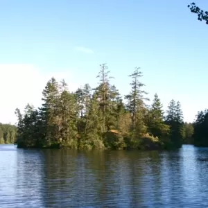 Lakeside Massage Therapy