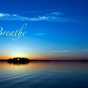 Madrona Massage Therapy